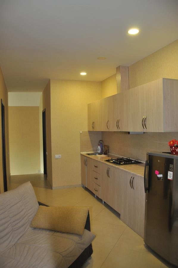 Anna Apartaments On Didveli Bakuriani Exterior photo
