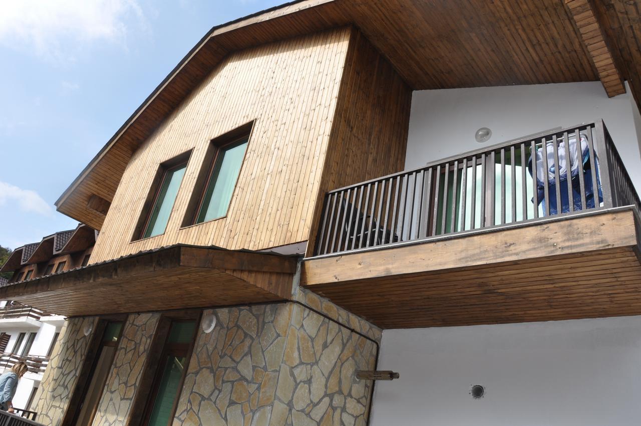 Anna Apartaments On Didveli Bakuriani Exterior photo